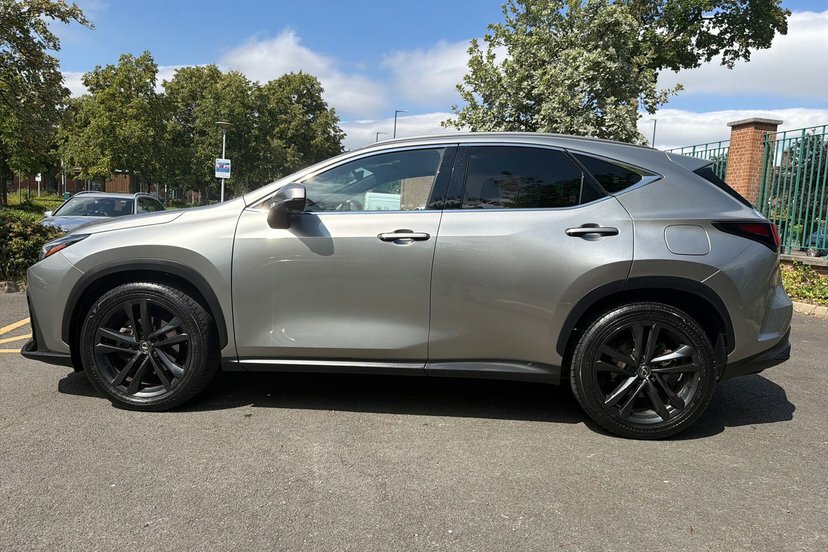 Lexus NX Suv White #17