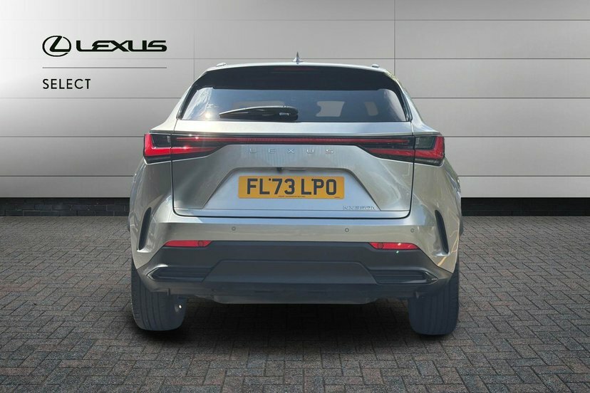Lexus NX Suv White #10