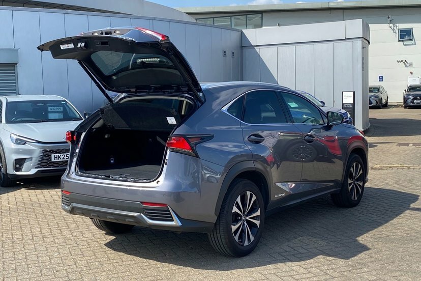 Lexus NX Premium Sport Edition Black #17