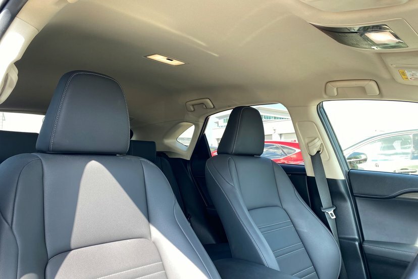Lexus NX Premium Sport Edition Black #14