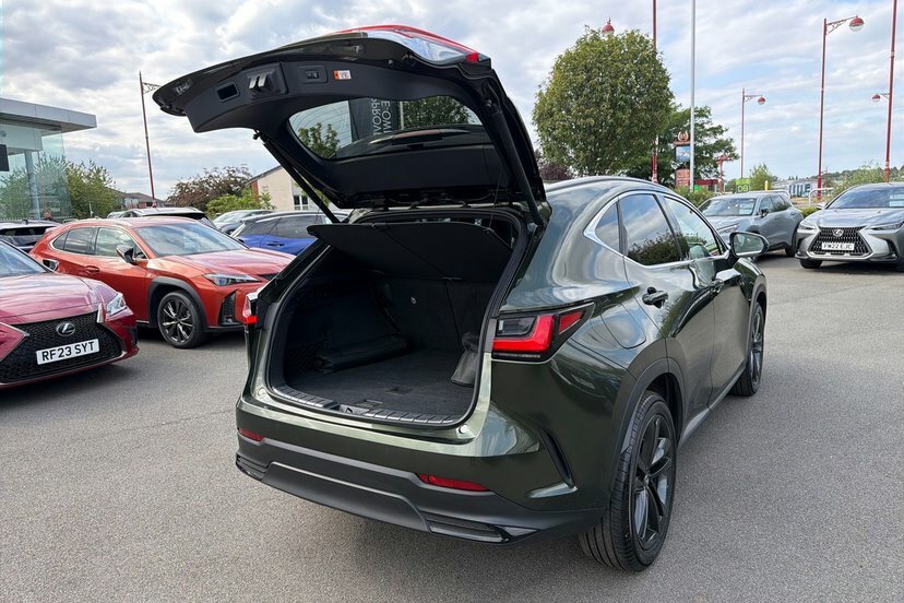 Lexus NX 450H Premium Plus Pack Sunroof Green #55