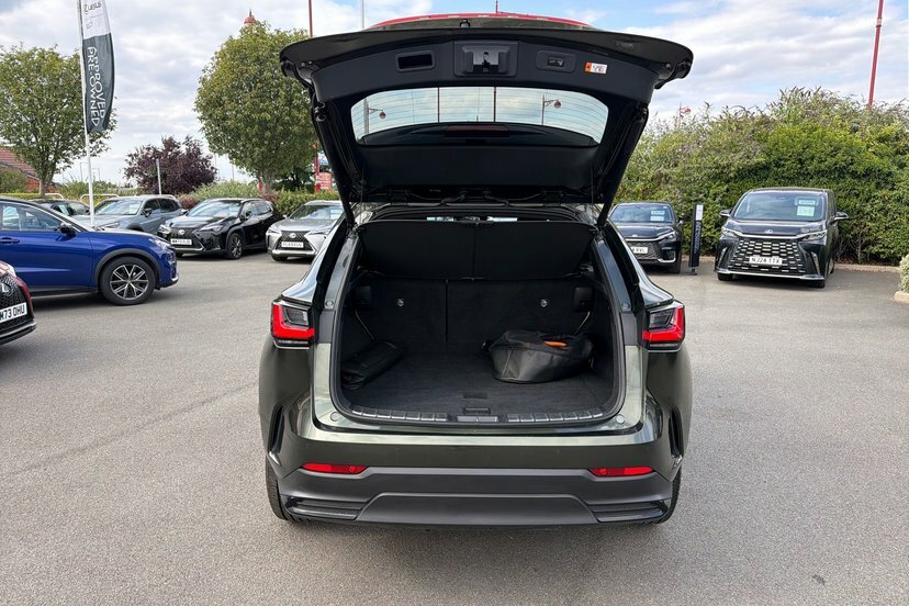 Lexus NX 450H Premium Plus Pack Sunroof Green #53
