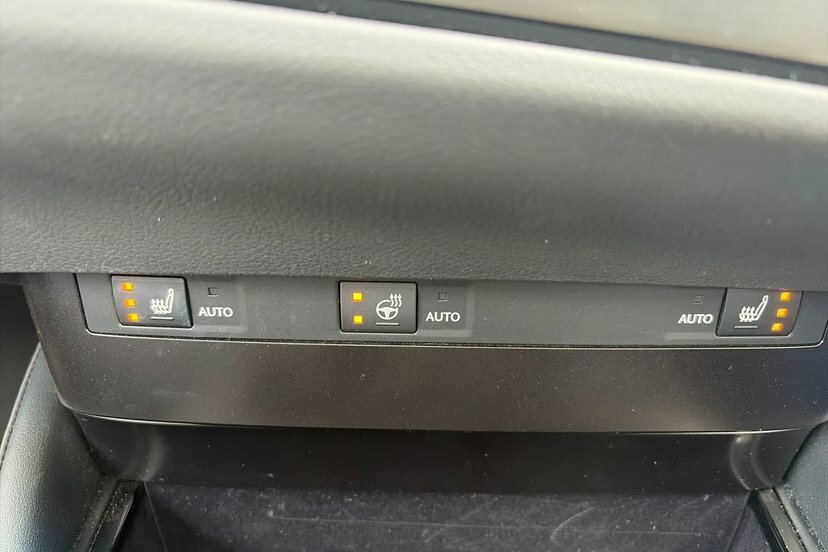 Lexus ES 300H 2.5 Cvt Premium Edition Grey #16