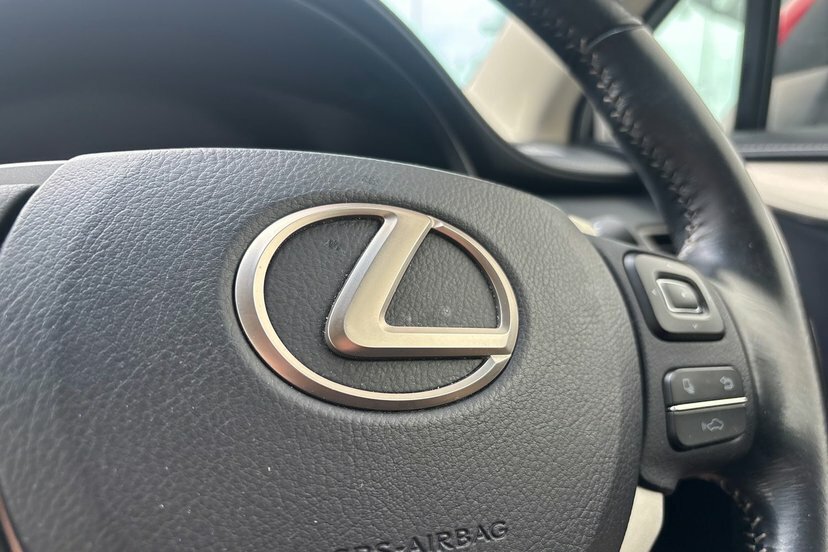 Lexus NX 300H 2.5 Sport Cvt Grey #13