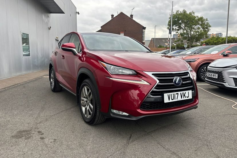 Lexus NX 300H 2.5 Sport Cvt Grey #52