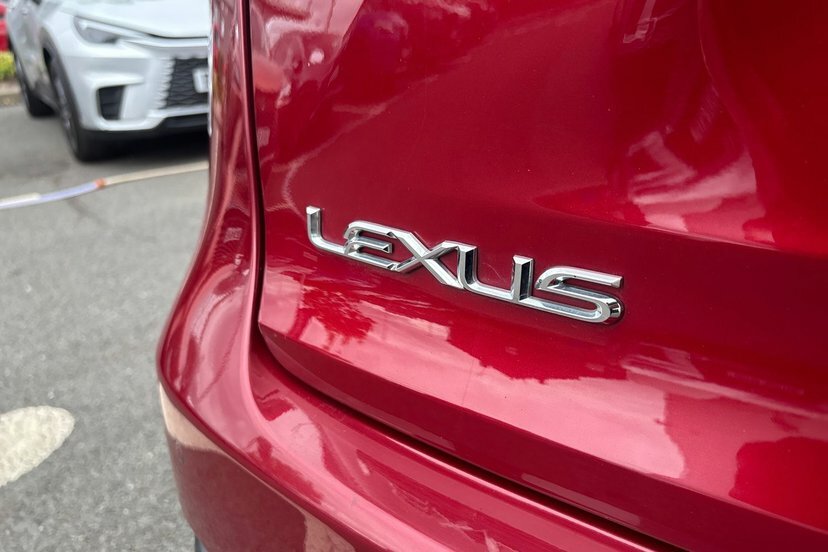 Lexus NX 300H 2.5 Sport Cvt Grey #45