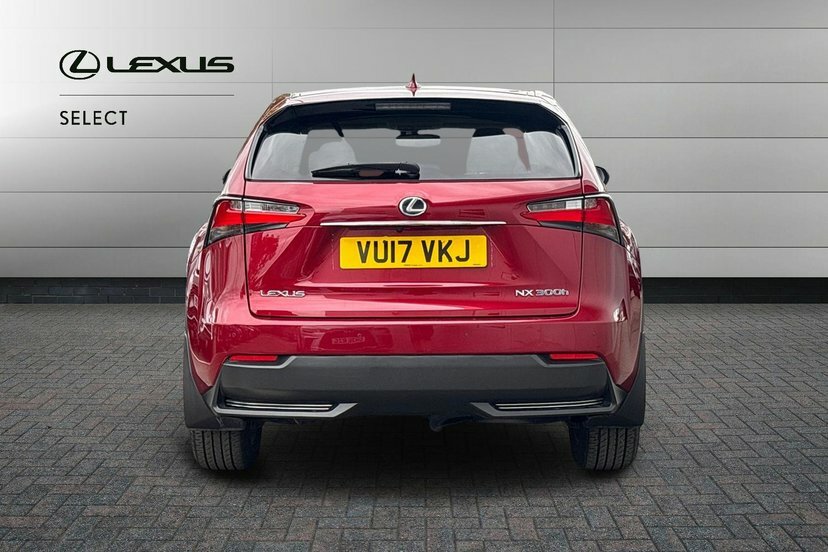 Lexus NX 300H 2.5 Sport Cvt Grey #12