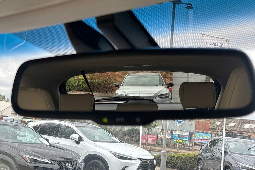 Lexus NX 300H 2.5 Sport Cvt Grey #28