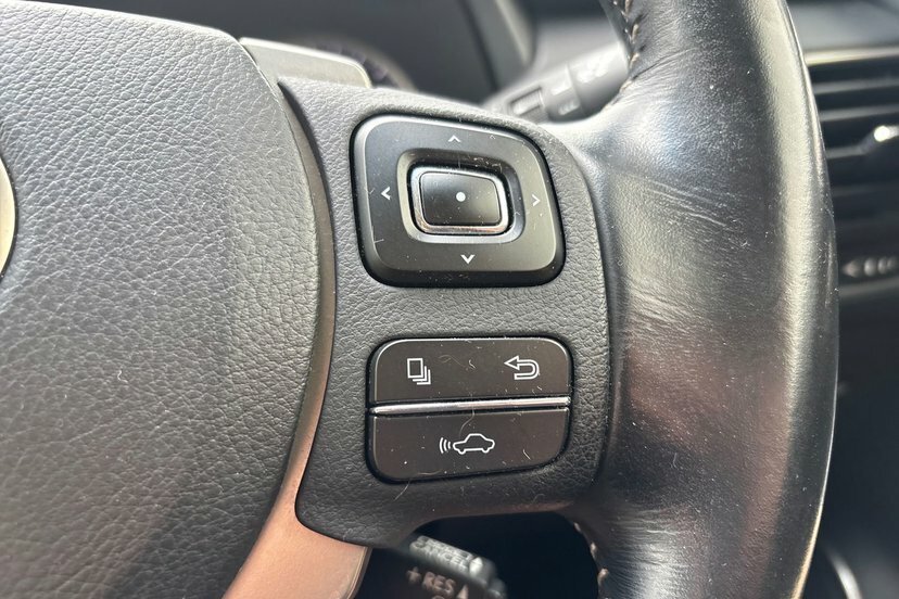 Lexus NX 300H 2.5 Sport Cvt Grey #15