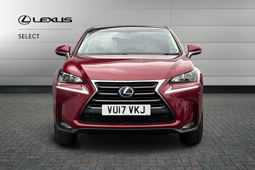Lexus NX 300H 2.5 Sport Cvt Grey #7