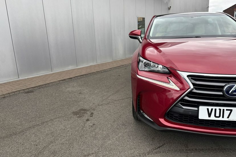Lexus NX 300H 2.5 Sport Cvt Grey #55