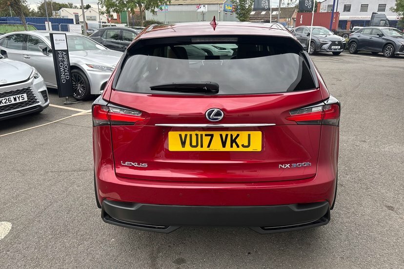 Lexus NX 300H 2.5 Sport Cvt Grey #41