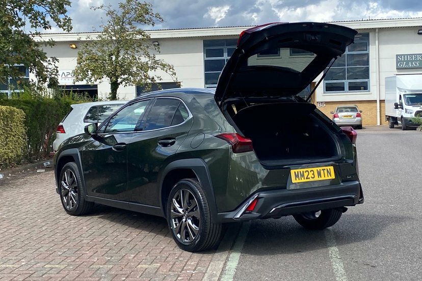 Lexus UX 2L F Sport Design Grey #17