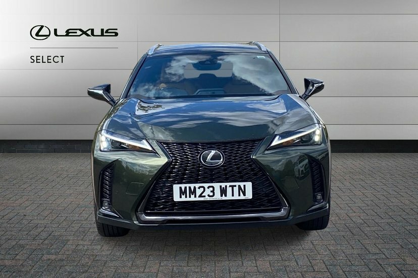 Lexus UX 2L F Sport Design Grey #7