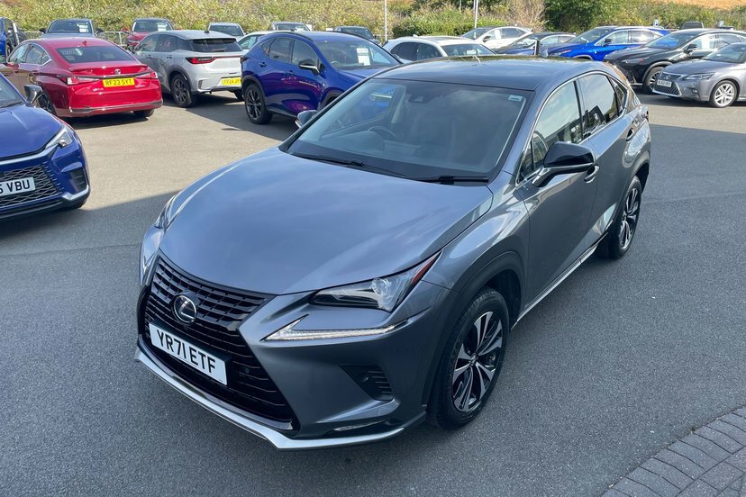 Lexus NX 2.5 300H Gpf E-cvt 4Wd Euro 6 Ss Grey #19