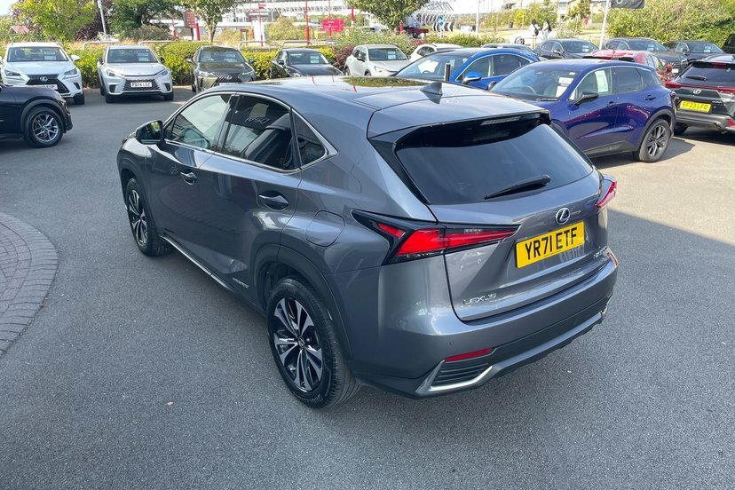 Lexus NX 2.5 300H Gpf E-cvt 4Wd Euro 6 Ss Grey #31