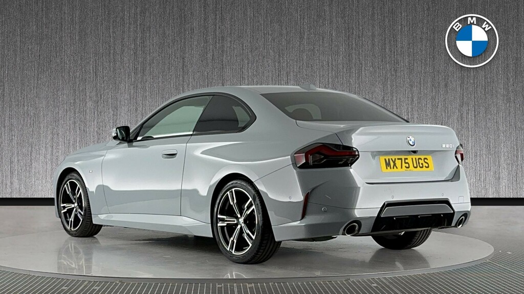 BMW 2 Series 2.0 220I M Sport Euro 6 Ss Grey #2
