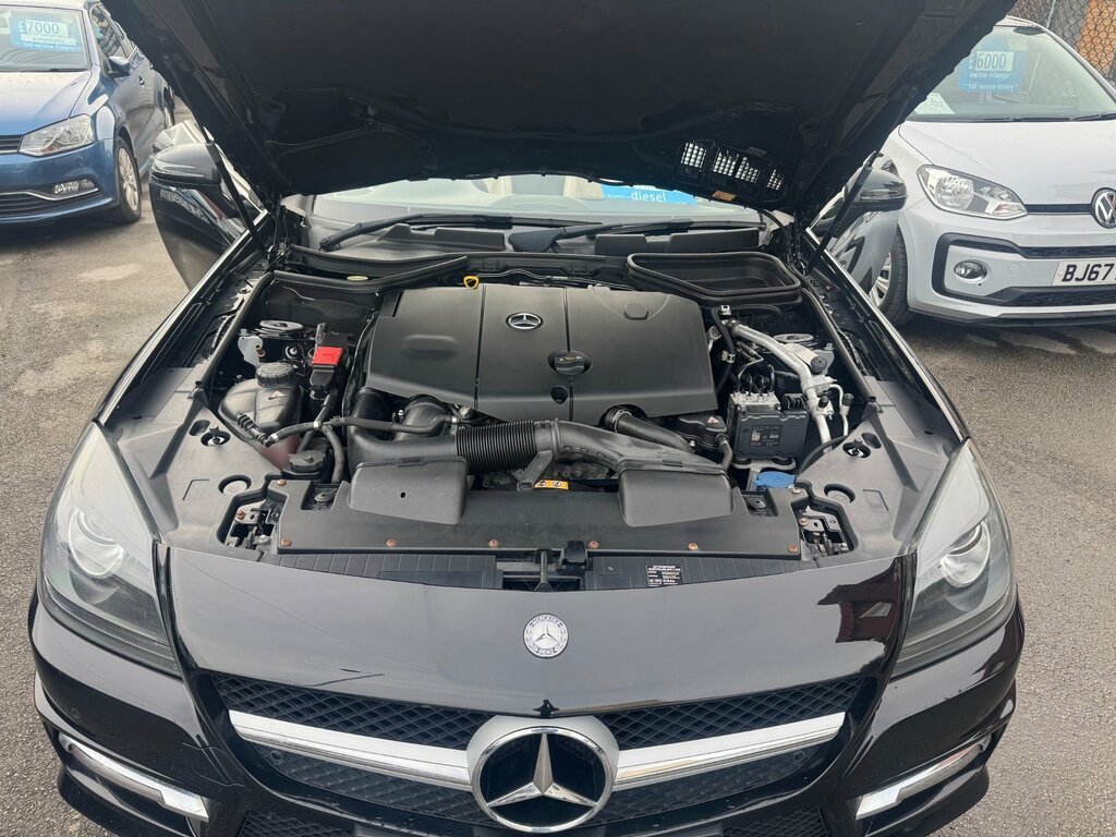 Mercedes-Benz SLK 250 Cdi Carbonlook Edition White #22