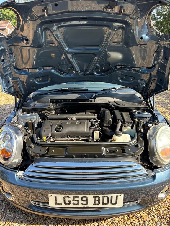 Mini Hatch  Brown #12