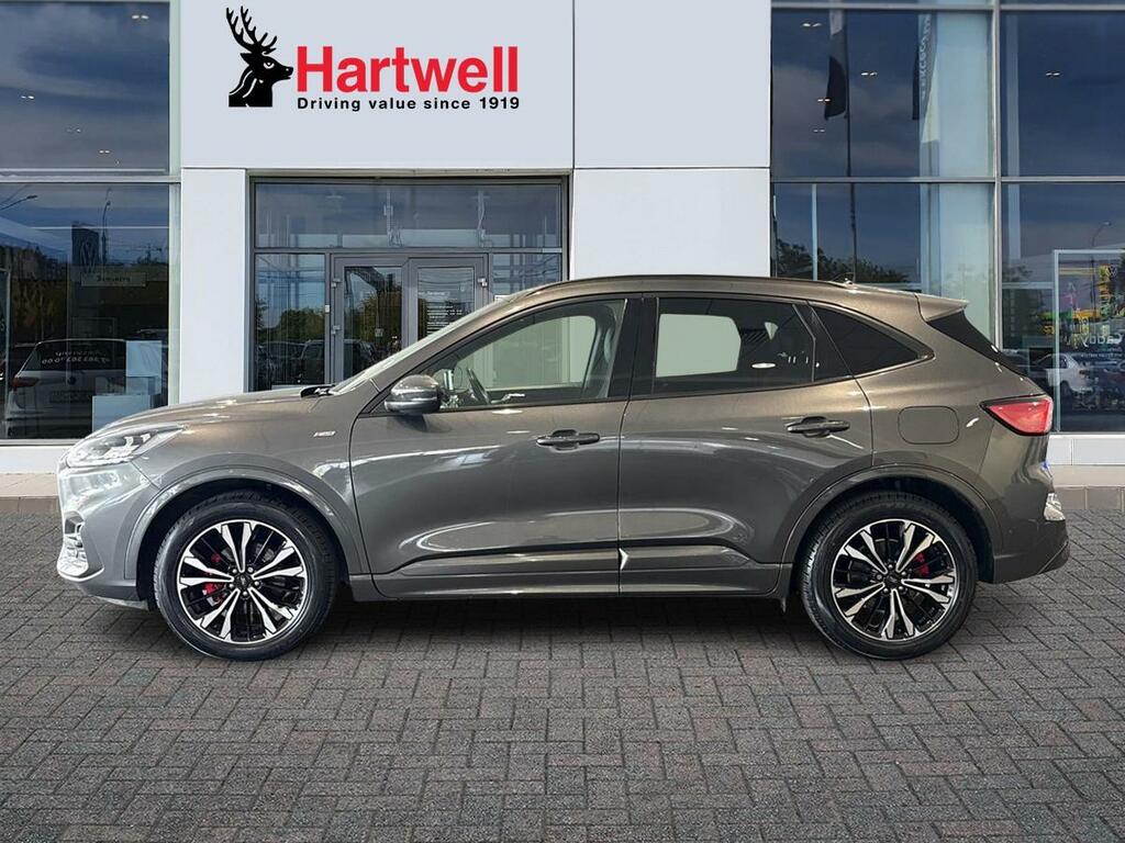 Ford Kuga 2.0 Ecoblue St-line X Suv Awd Euro  #6