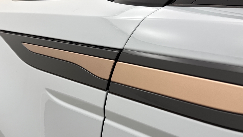 Land Rover Range Rover Evoque 2.0 D200 Dynamic Hse Grey #20