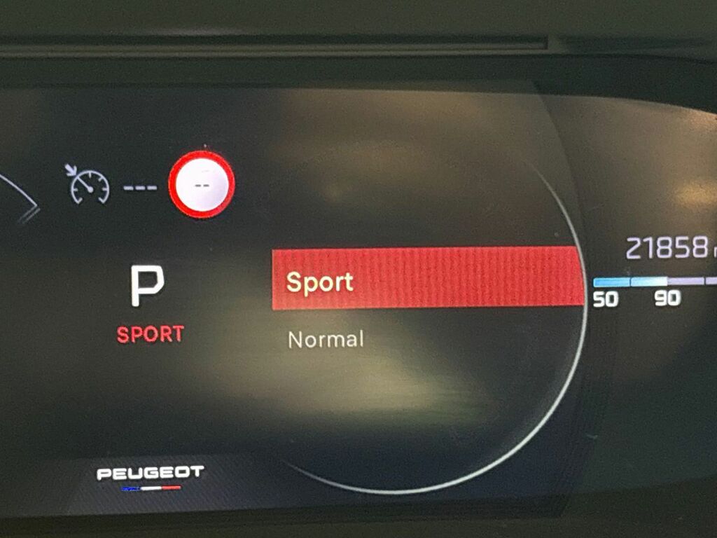 Peugeot 2008 2008 Gt Puretech Ss Black #22