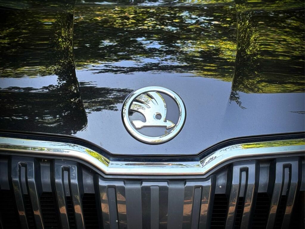 Skoda Kamiq Suv Grey #3