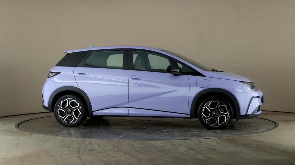 Byd Dolphin Hatchback White #17