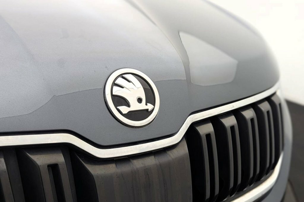 Skoda Kodiaq 2.0 Tdi Se Dsg Grey #44