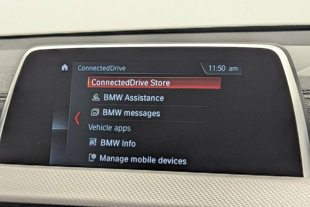 BMW X2 X2 Xdrive20d M Sport Gold #40