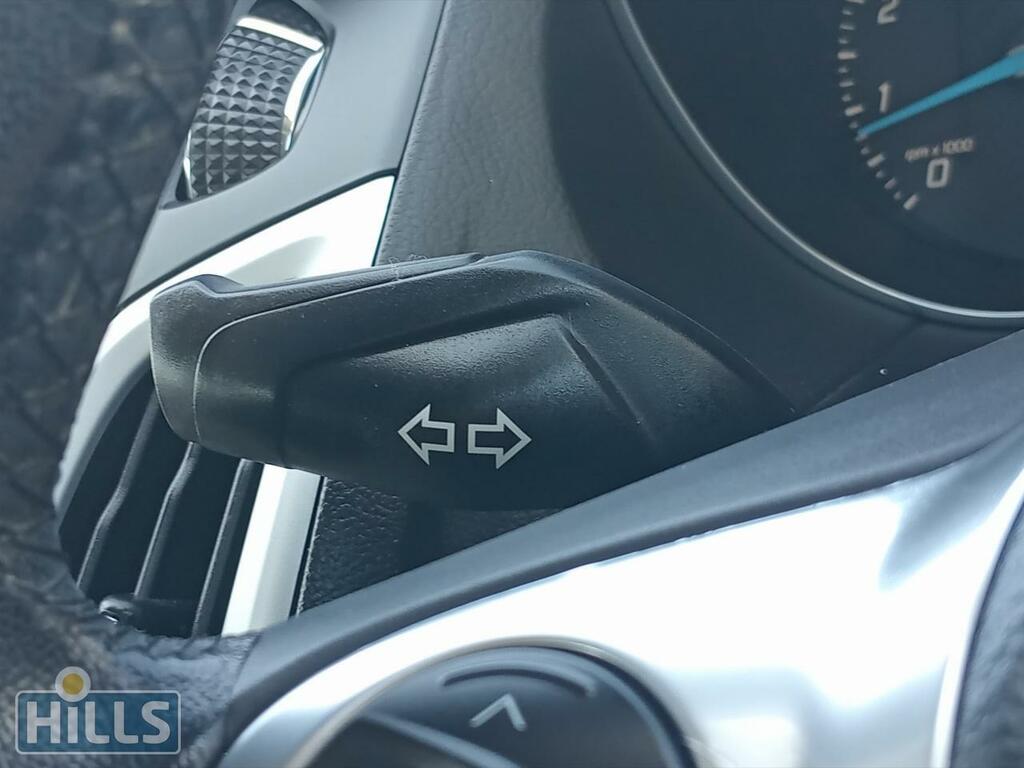 Ford Focus 2.0 Tdci Zetec Powershift Euro 5 Silver #32