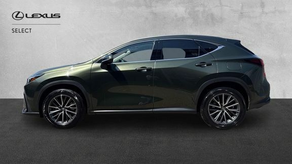 Lexus NX Nx 350H Cvt White #24
