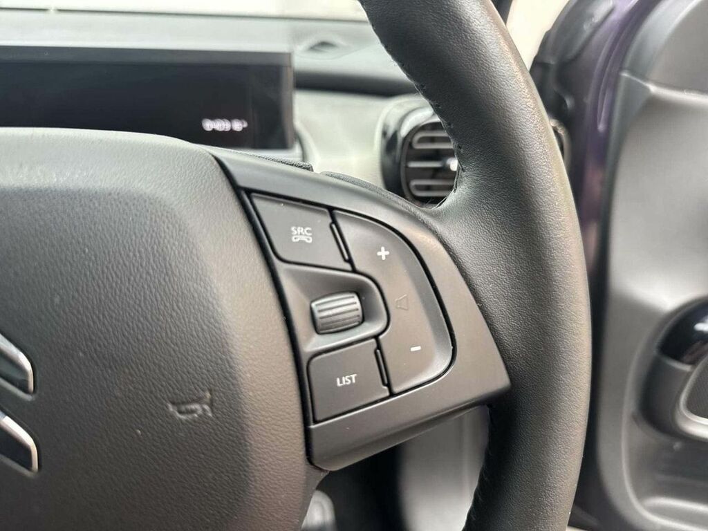 Citroen C4 Cactus Mpv Grey #20