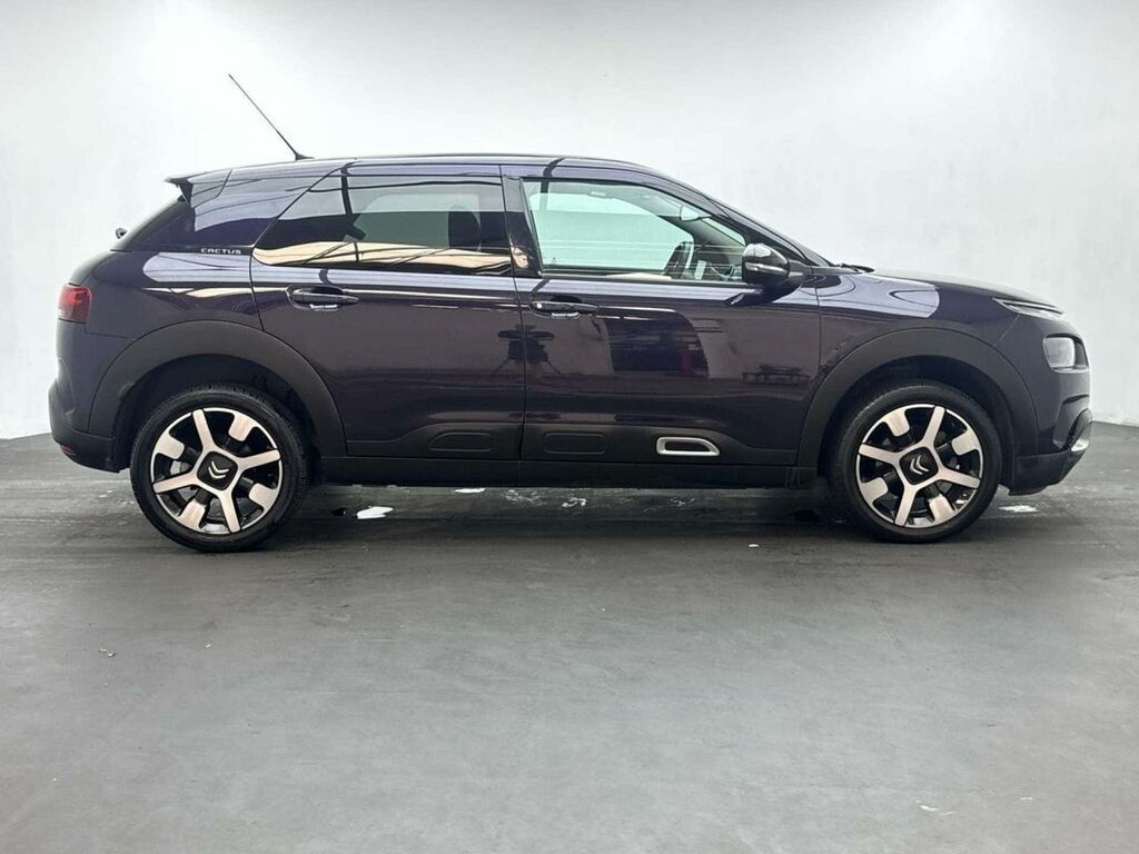 Citroen C4 Cactus Mpv Grey #9
