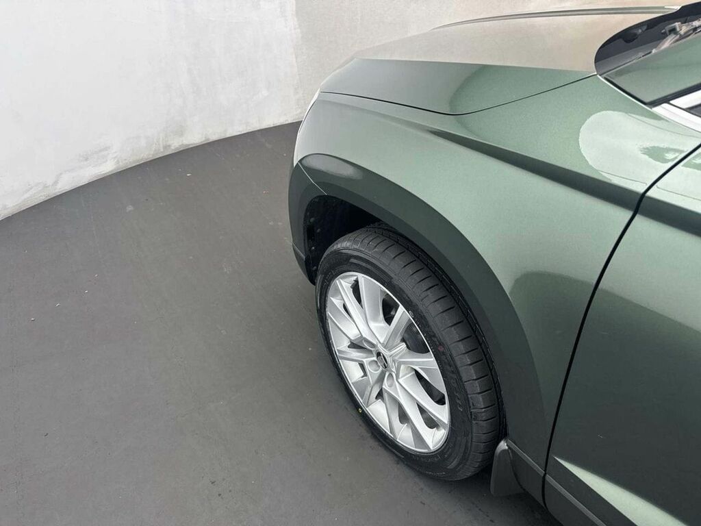 Skoda Karoq White #33