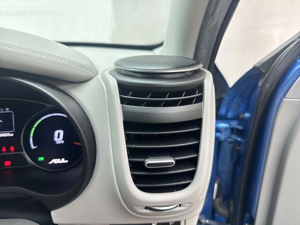 Kia Soul 0.0 Ev 109 Bhp Blue #22