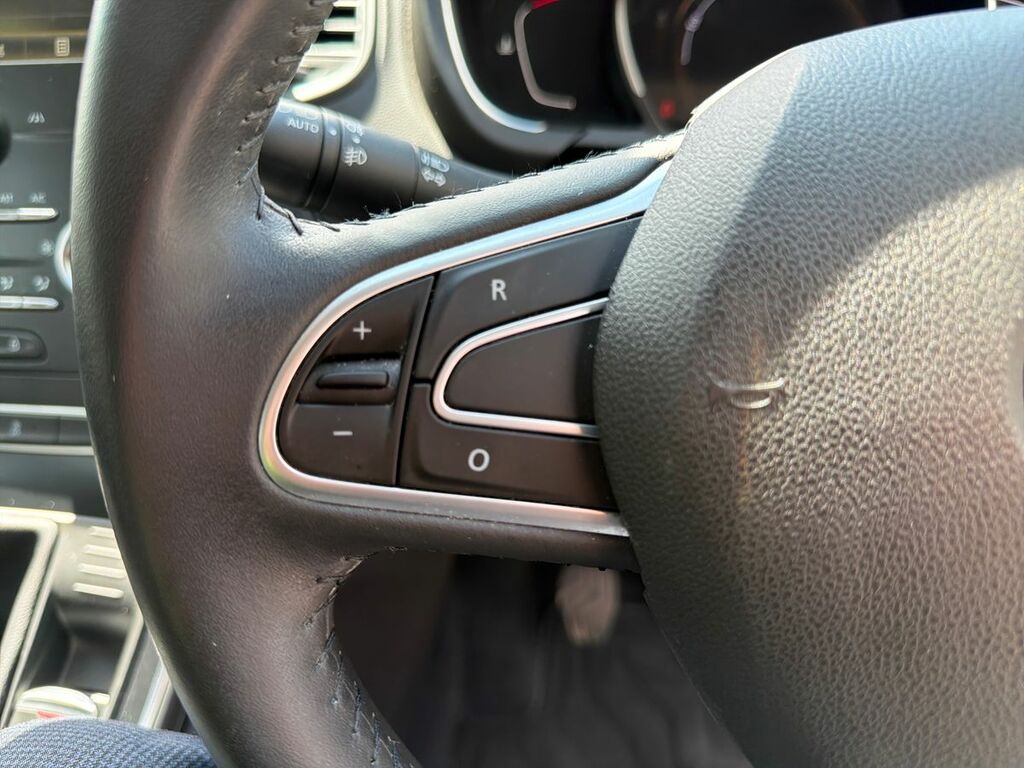 Renault Scenic Red #23