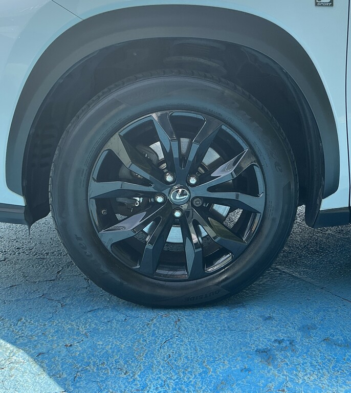 Lexus NX 2.5 300H Luxury E-cvt 4Wd Euro 6 Ss Silver #28