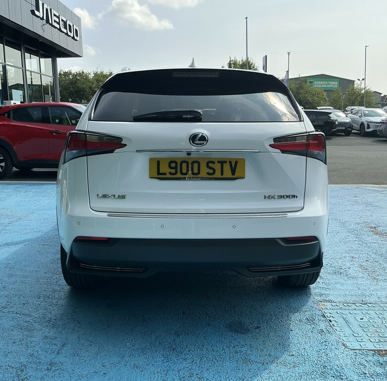 Lexus NX 300H 2.5 F-sport Cvt White #6