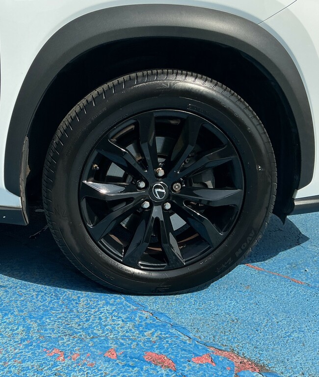 Lexus NX 2.5 300H Luxury E-cvt 4Wd Euro 6 Ss Silver #31