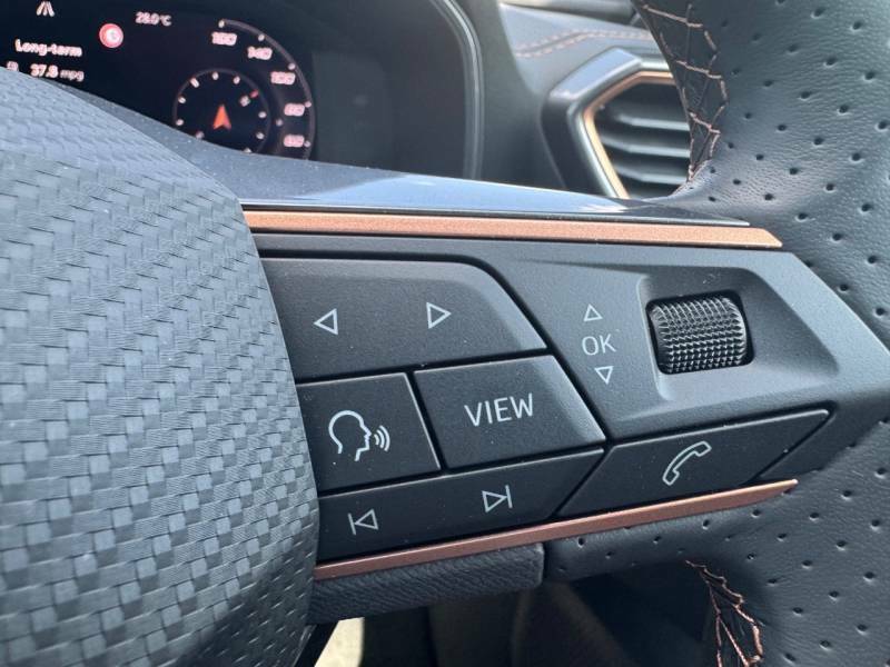 Cupra Leon 1.5 Tsi V2 Euro 6 Ss Grey #34
