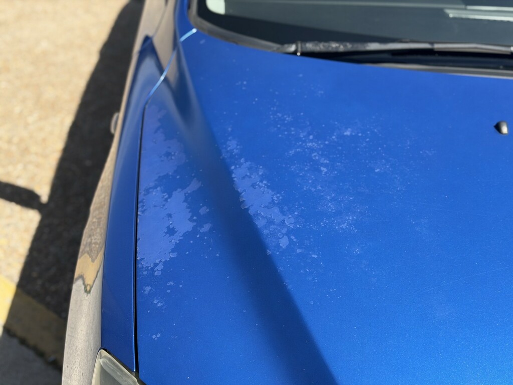 Mazda 3 Ts2 Grey #22