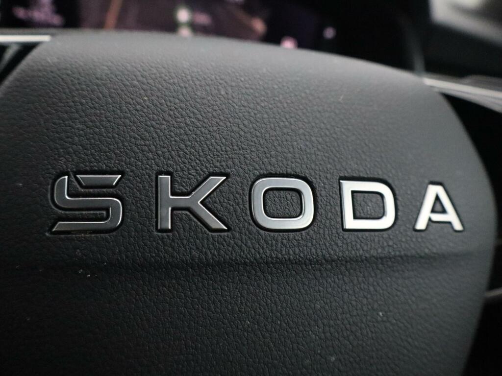 Skoda Scala Se Edition Silver #34