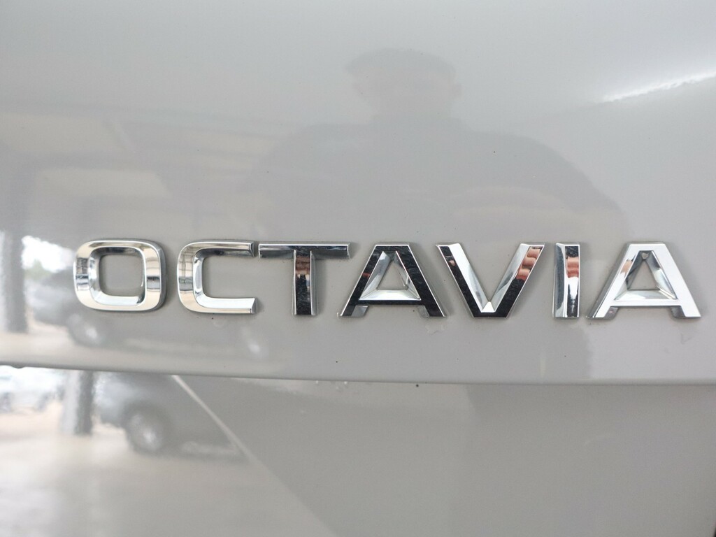 Skoda Octavia Octavia Vrs Tdi S-a Green #18