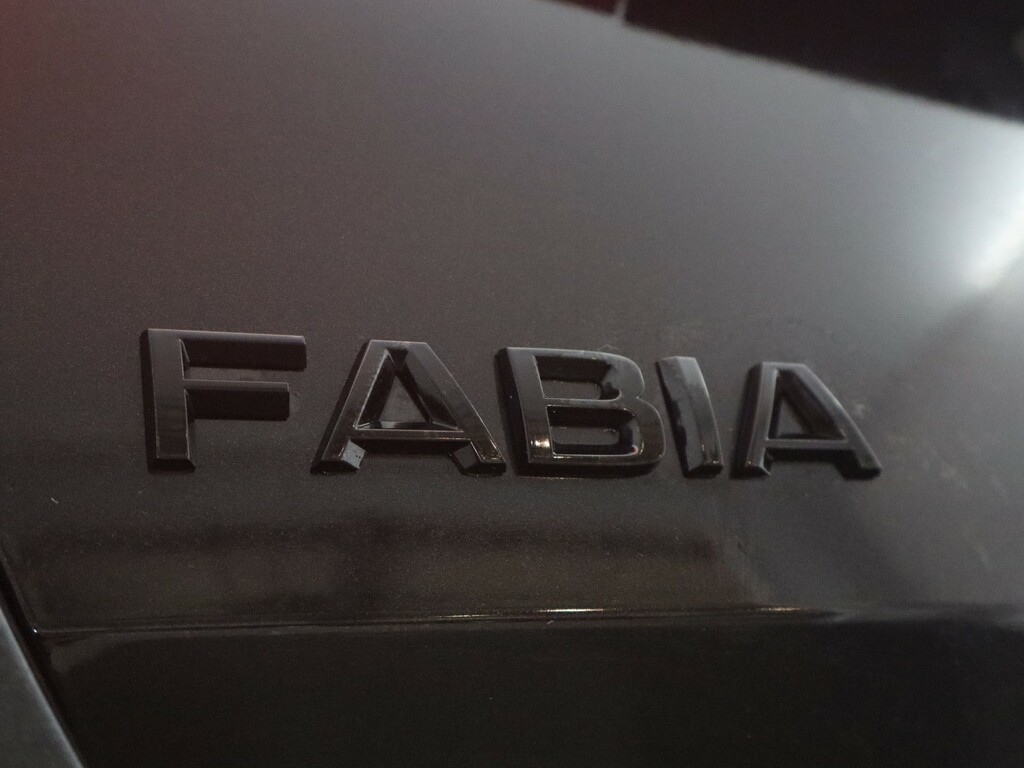 Skoda Fabia 1.0 Tsi 116Ps Colour Edition Hatchback Grey #17
