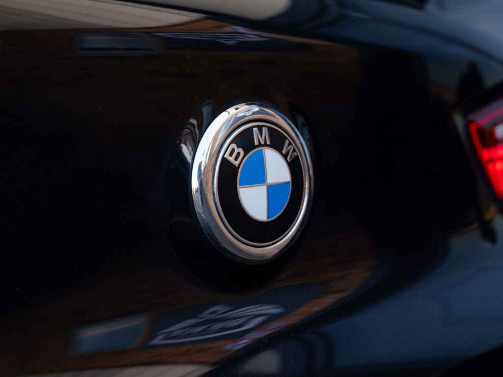 BMW X2 Sdrive 18I Sport Blue #86
