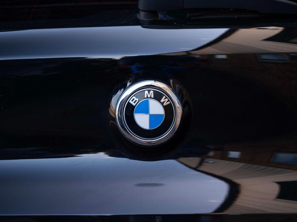 BMW X2 Sdrive 18I Sport Blue #88