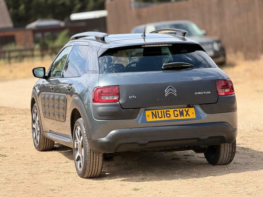 Citroen C4 Cactus Bluehdi Flair Black #14