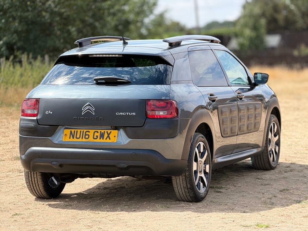 Citroen C4 Cactus Bluehdi Flair Black #19