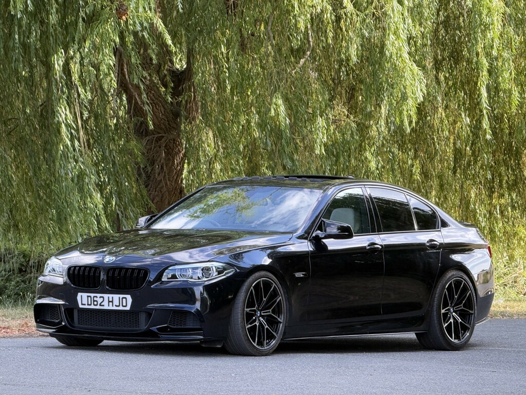 BMW 5 Series 520D Se Silver #14